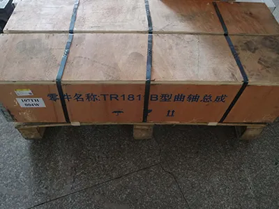 Коленчатый вал (в сборе)